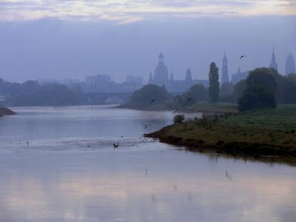 Elbe bei Dresden