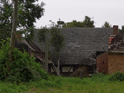 Spreewald Storch 