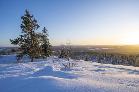 Abendliche Winterstimmung