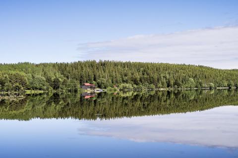 Spiegelglatt