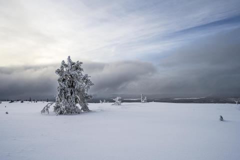 Wetterumschwung auf dem Fjäll