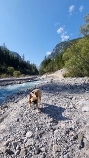 Wimbachklamm mit Bully