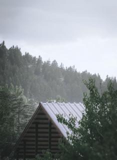 Hütte im Wald