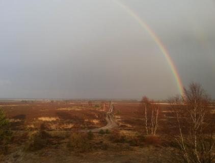 Regenbogen über der Heide