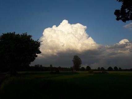 Cumuluswolke im Anmarsch