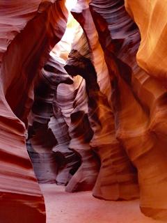 Baer and Antelope in the antelope canyon USA