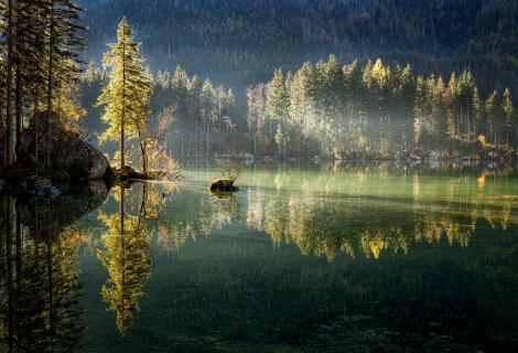 Hintersee