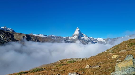 Matterhorn über Wattenteppich