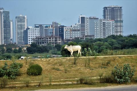 Stadtrand Dehli