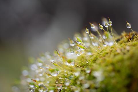  Wassertropfen