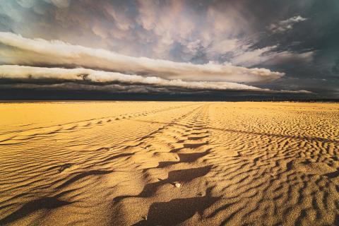 Spuren im Sand