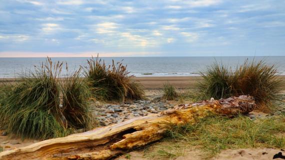 Wales am Meer