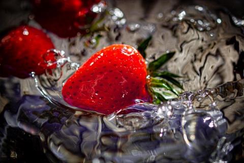 Erdbeeren frisch gewaschen