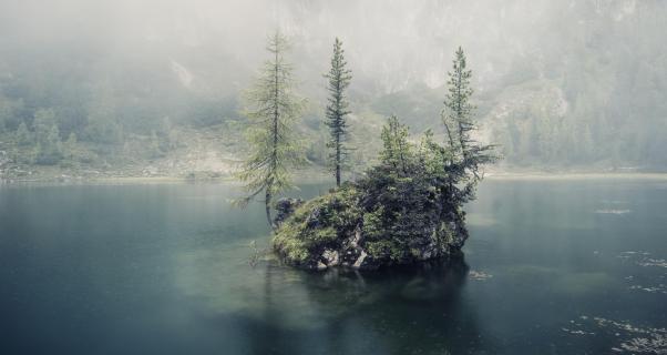 Kleine Waldinsel im Bergsee