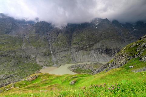 Sandersee