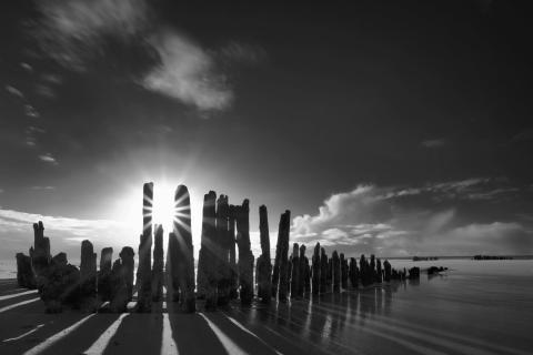 Sylt-Buhnen im Sonnenlicht