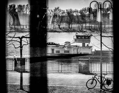 Der Rhein im März