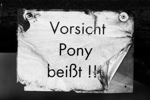 Pony beißt