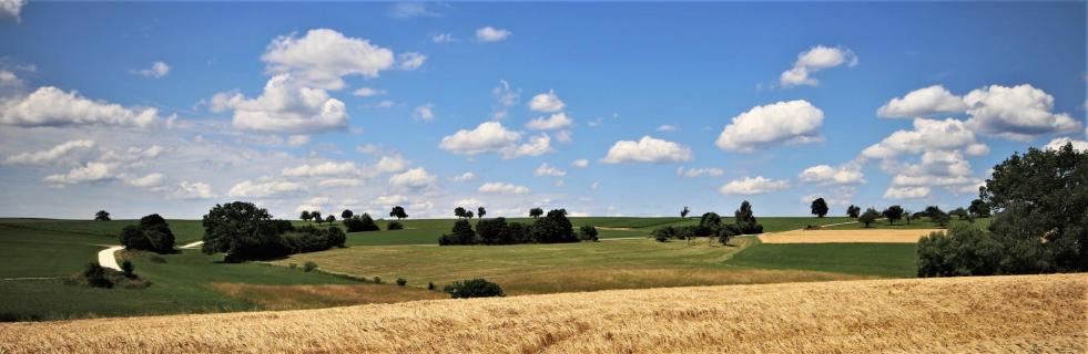 Heubach, Sommer...