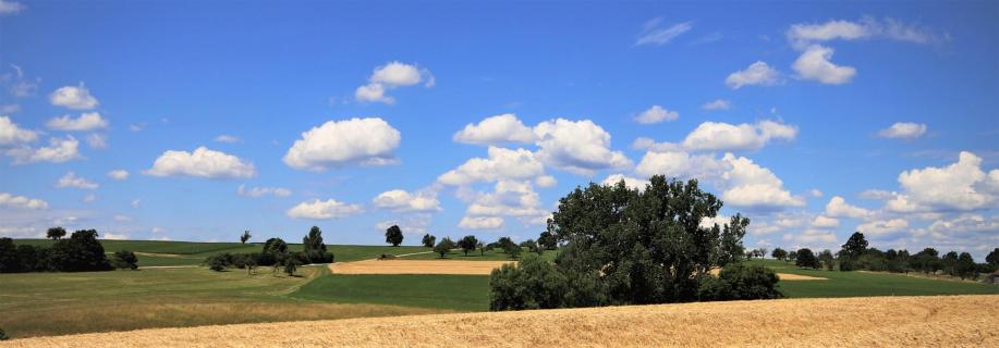 Heubach, Sommer, Schönheit