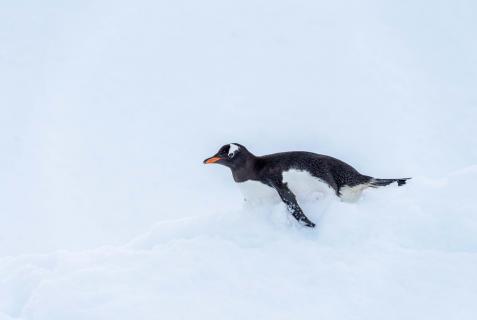 Sliding