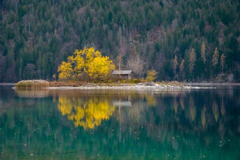 Herbst