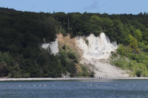 Kreideküste Rügen 