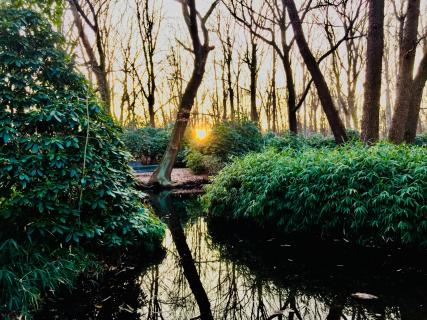 Tiergarten Berlin