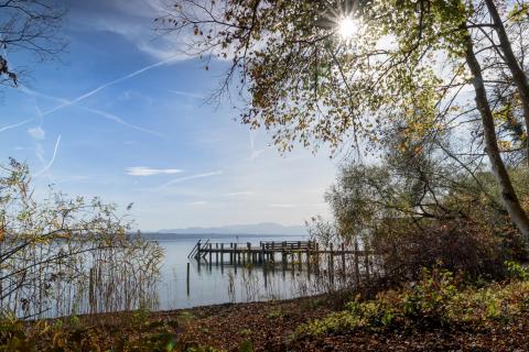 Steg am Starnberger See