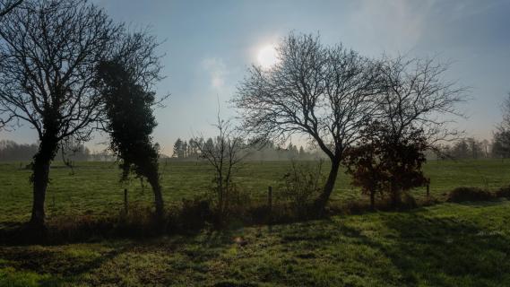 Lichtstimmung in Ostfriesland