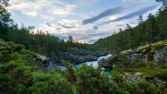 Morgendliche Stimmung am Ridderspranget (Norwegen)