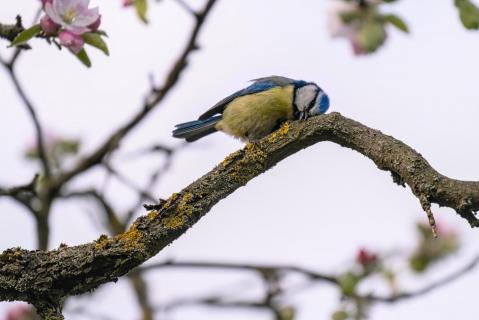 Frühling