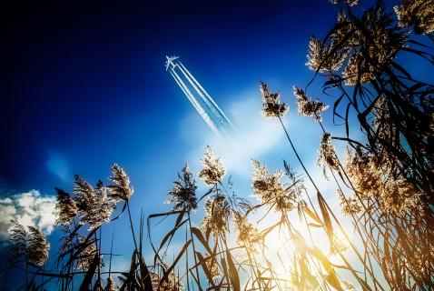 Flugzeug über Naturschutzgebiet