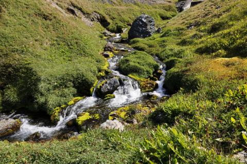 Flusslandschaft