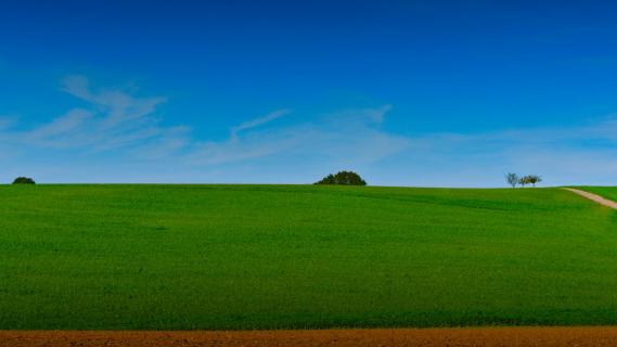 Landscape Ehrstaedt 