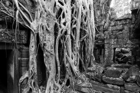 Angkor Wat - IV