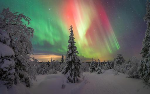 Flares Of The Sky