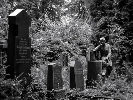 Ruhige Atmosphäre auf dem alten jüdischen Friedhof