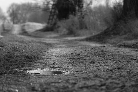 Feldweg