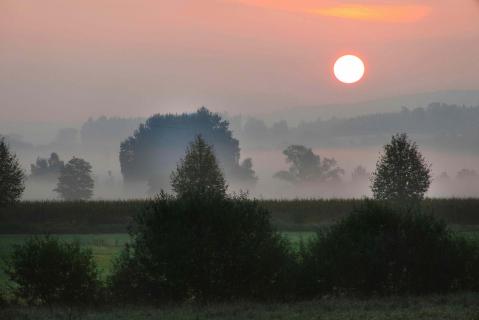 Salem-Rickenbach Sonnenaufgang