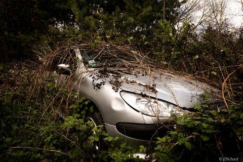 Parken im Grünen