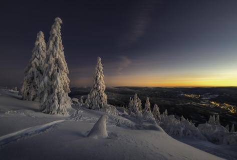 Schneenacht im Bayerischen Wald