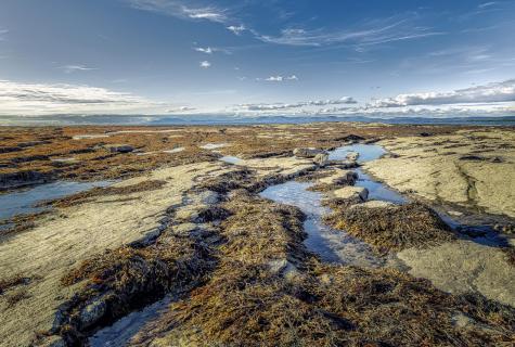 Uferlandschaft bei Donegal in Nordwestirland