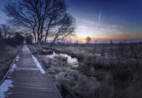 Moorlandschaft