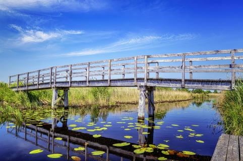 Holzbrücke