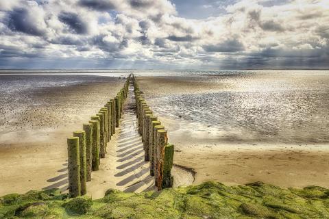 Strand bei Ebbe