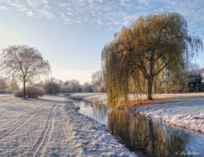 Morgenfrost in Arsten.