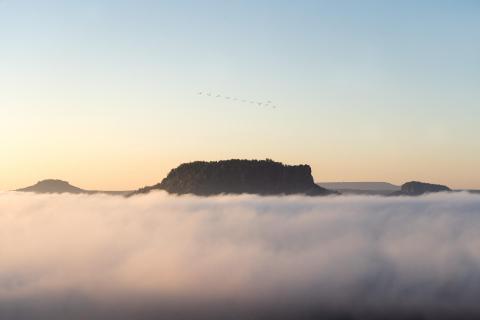 Nebelmeer am Lilienstein