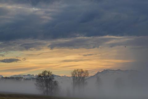 Nebel 5