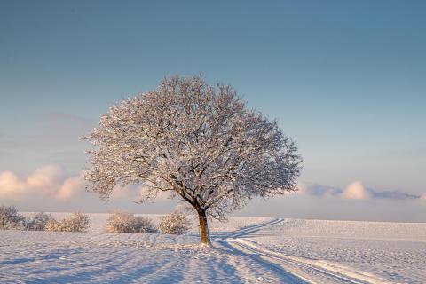 Winterlandschaft